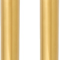 0404-0659 - ARLEN NESS Fork Tube - 49 mm - Gold 121-006