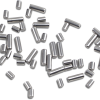 0924-0196 - EASTERN MOTORCYCLE PARTS Bearing Roller Set - +.0006" - '73-'86 Big Twin B-LATE-4-RS