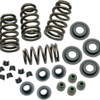 0926-2069 - S&S CYCLE Valve Springs - .650" - Twin Cam 106-5909