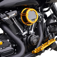 1010-3240 - ARLEN NESS Method™ Clear Series Air Cleaner - Gold 600-240