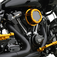 1010-3240 - ARLEN NESS Method™ Clear Series Air Cleaner - Gold 600-240