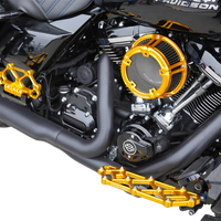 1010-3240 - ARLEN NESS Method™ Clear Series Air Cleaner - Gold 600-240