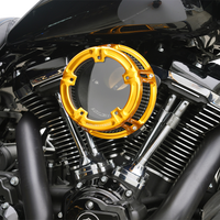 1010-3240 - ARLEN NESS Method™ Clear Series Air Cleaner - Gold 600-240