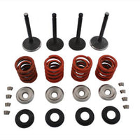 11-0796 - Nitrate Valve and Spring Kit by Sifton