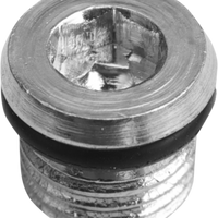 1107-0339 - DRAG SPECIALTIES Primary Plug - 5/16"-18 11-0298P