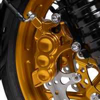 1701-0678 - ARLEN NESS 6-Piston Caliper - 14" - Gold 02-204