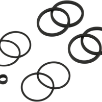 1702-0123 - DRAG SPECIALTIES Front Caliper Seal Kit - 04-06 XL 84515