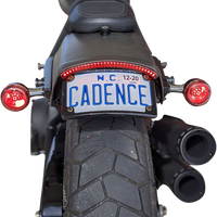 2010-1405 - CUSTOM DYNAMICS LED Taillight with Turn Signal - Red CD-FATBOB-R