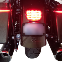 2010-1410 - CUSTOM DYNAMICS Taillight - Red PB-TL-LPBW-R