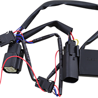 2050-0427 - CUSTOM DYNAMICS Adapter - Dual Color Plasma Rods PR-MPRSEQ-BCM