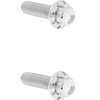 2401-1746 - ARLEN NESS Bolt Kit - Transmission Top Cover - 12-Point - Titanium - Polished 300-947