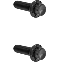 2401-1747 - ARLEN NESS Bolt Kit - Transmission Top Cover - 12-Point - Titanium - Black 300-948