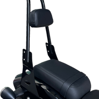 MOTHERWELL One-Piece Sissy Bar - Gloss Black MWL-220-GB.