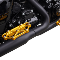 ARLEN NESS Diamond Floorboards - Passenger - Gold 410-061