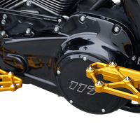 ARLEN NESS Diamond Floorboards - Passenger - Gold 410-061