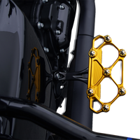 ARLEN NESS Diamond Floorboards - Passenger - Gold 410-061