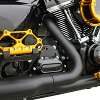 ARLEN NESS Diamond Floorboards - Passenger - Gold 410-061