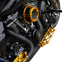 ARLEN NESS Diamond Floorboards - Driver - Gold 410-056