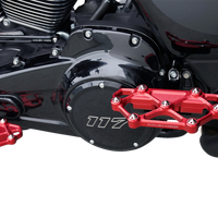 ARLEN NESS Diamond Floorboards - Passenger - Red 410-062