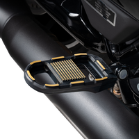 DRAG SPECIALTIES Adjustable Foot Pegs - Black/Gold RGK2-B003
