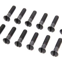 9621-12 - Cam Cover Screw Kit Parkerized by Colony