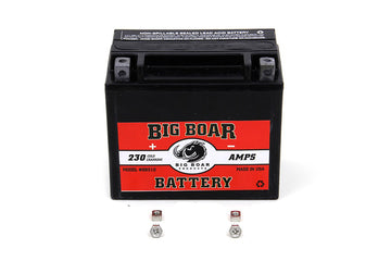 53-0702 - Big Boar Mini Battery