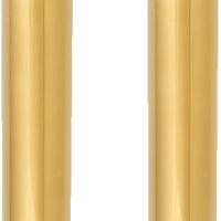 0404-0644 - ARLEN NESS Fork Tube - 49 mm - Gold 121-002