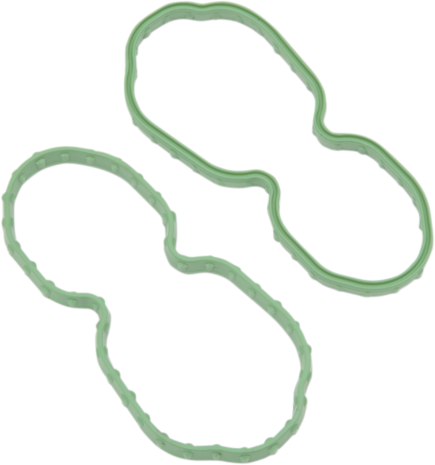 0701-0667 - DRAG SPECIALTIES Seal for Fuel Pump Door - XL I01-0144