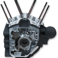 0920-0157 - S&S CYCLE Crankcase - Black 310-0856
