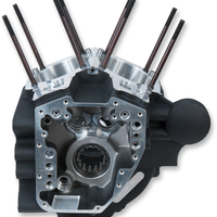 0920-0157 - S&S CYCLE Crankcase - Black 310-0856