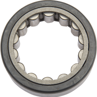 0921-0527 - EASTERN MOTORCYCLE PARTS Race Bearing A-24004-RACE