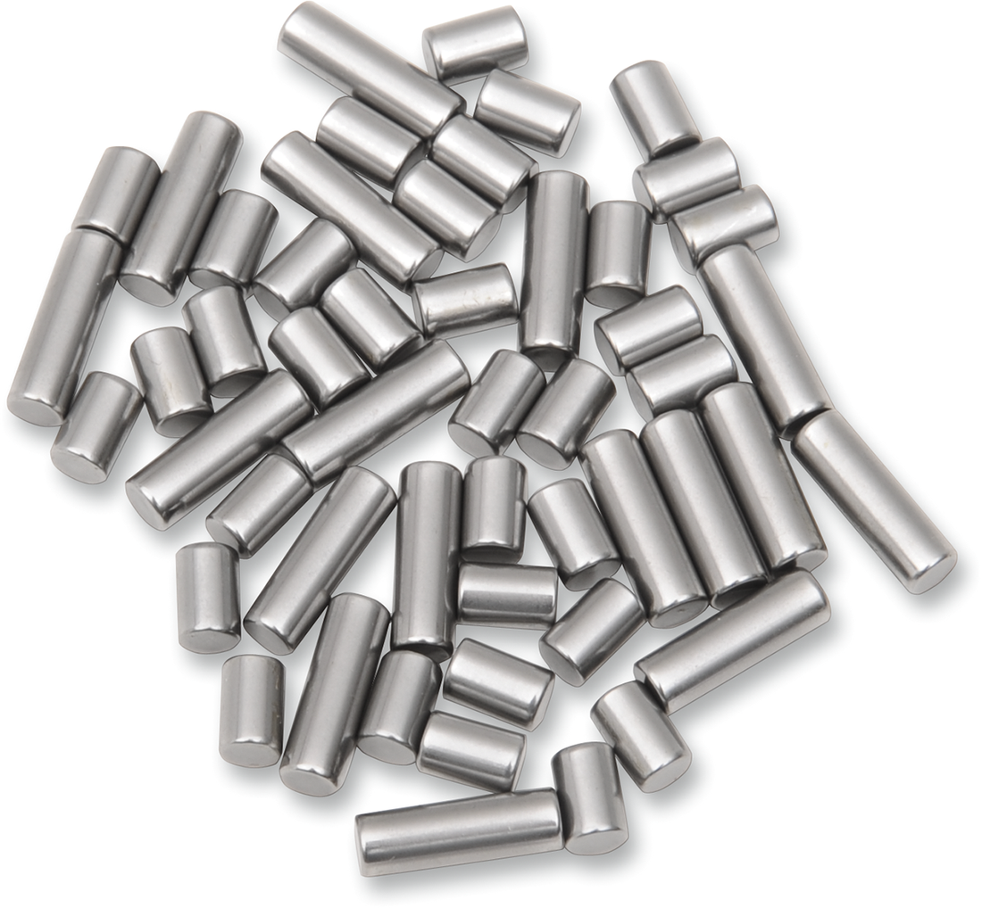 0924-0193 - EASTERN MOTORCYCLE PARTS Bearing Roller Set - Standard - '73-'86 Big Twin B-LATE-1-RS