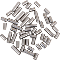 0924-0479 - EASTERN MOTORCYCLE PARTS Bearing Roller Set - +.001” - '86-'96 Big Twin B-EV-6