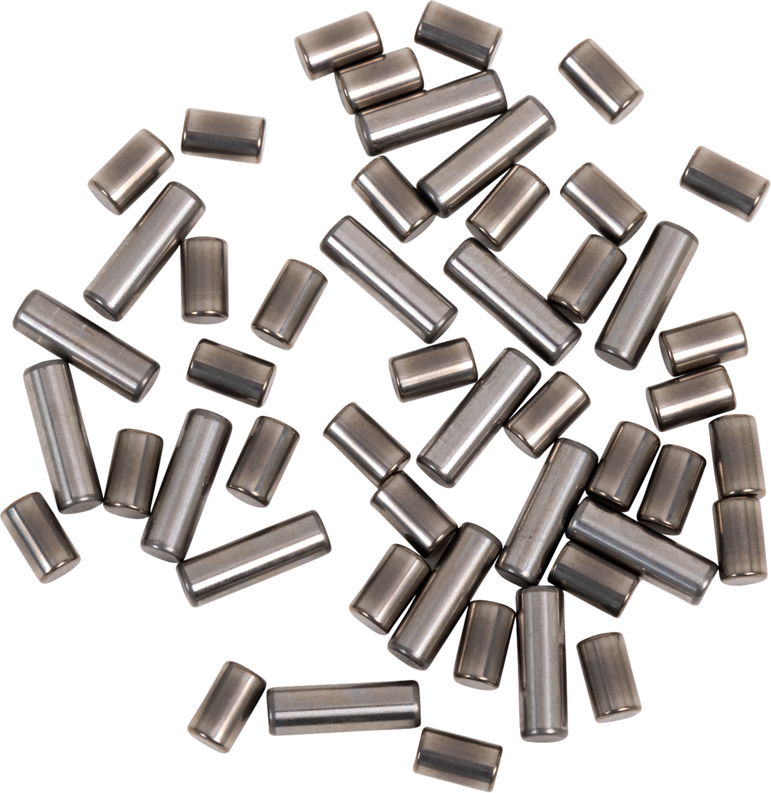 0924-0480 - EASTERN MOTORCYCLE PARTS Bearing Roller Set - +.002" - '86-'96 Big Twin B-EV-7