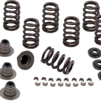 0926-2972 - S&S CYCLE Spring Kit - .605" - M8 900-0958