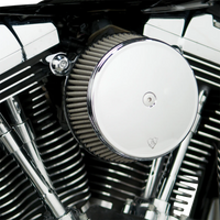 1010-0870 - ARLEN NESS Big Sucker 1 Cover - Twin Cam 18-321
