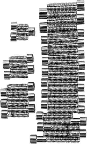 DRAG SPECIALTIES Bolt Kit - Camshaft Primary - Socket-Head MK142S