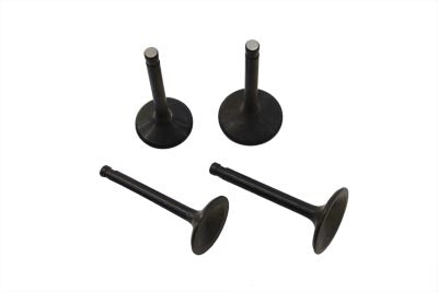 11-0679 - Nitrate Intake and Exhaust Valve Set by Motorshop