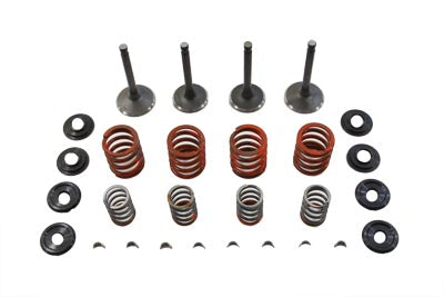 11-0794 - Nitrate Valve and Spring Kit by Sifton