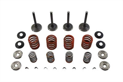 11-0795 - Nitrate Valve and Spring Kit by Sifton