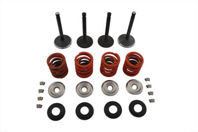11-0796 - Nitrate Valve and Spring Kit by Sifton