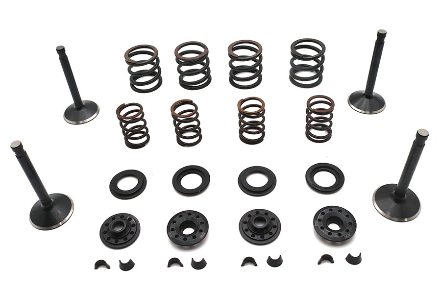 11-2023 - Kibblewhite Valve and Spring Kit by Kibblewhite