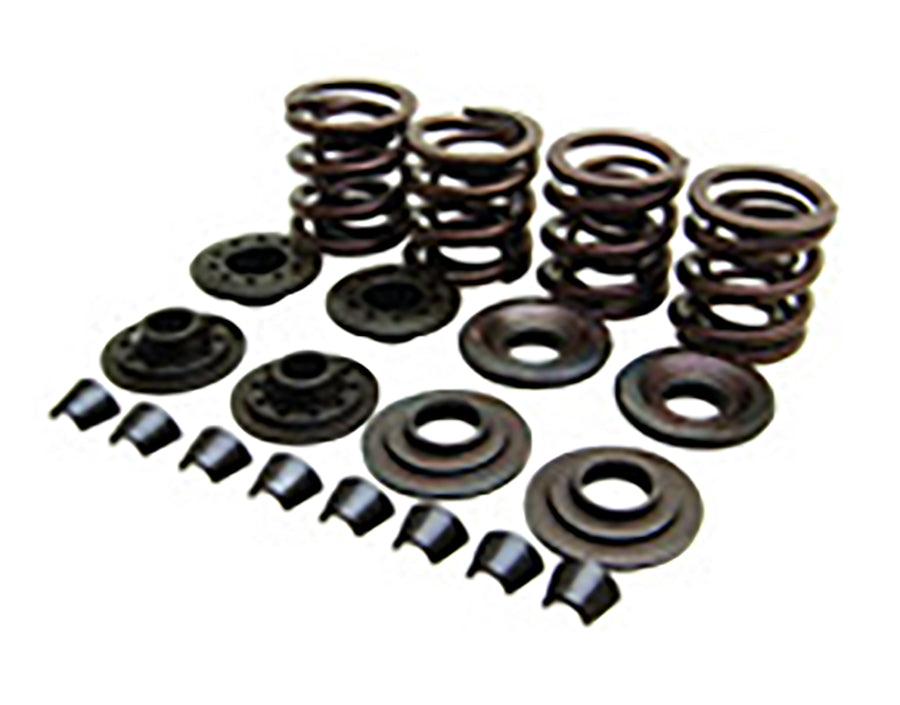 11-2024 - Kibblewhite Valve and Spring Kit by Kibblewhite