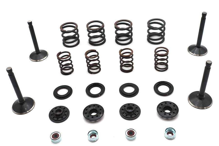 11-2026 - Kibblewhite Valve and Spring Kit by Kibblewhite
