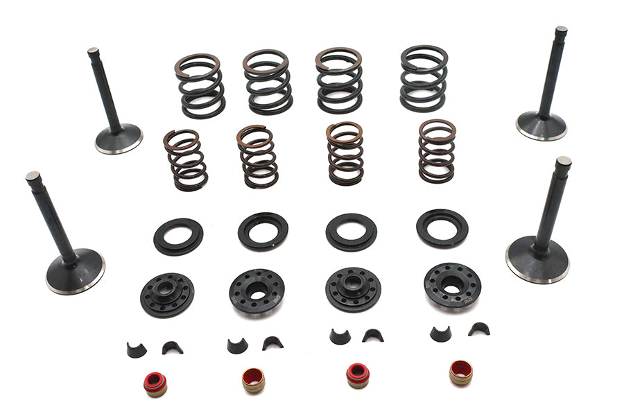 11-2027 - Kibblewhite Valve and Spring Kit by Kibblewhite