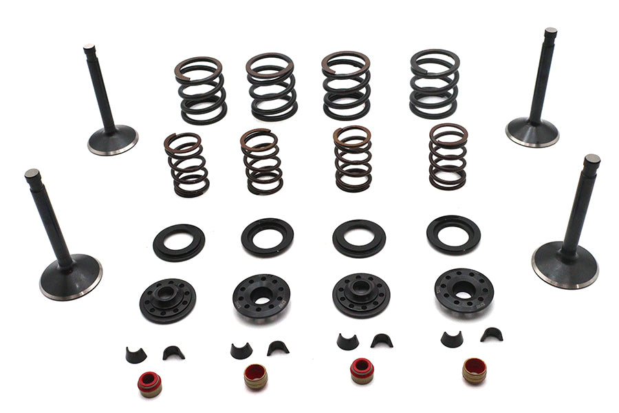 11-2028 - Kibblewhite Valve and Spring Kit by Kibblewhite