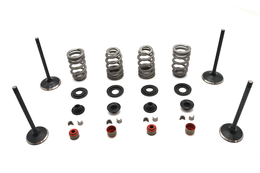 11-2029 - Kibblewhite Valve and Spring Kit by Kibblewhite
