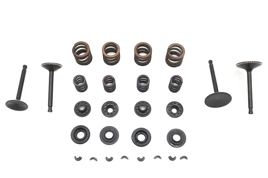 11-2030 - 030   Kibblewhite Valve and Spring Kit by Kibblewhite