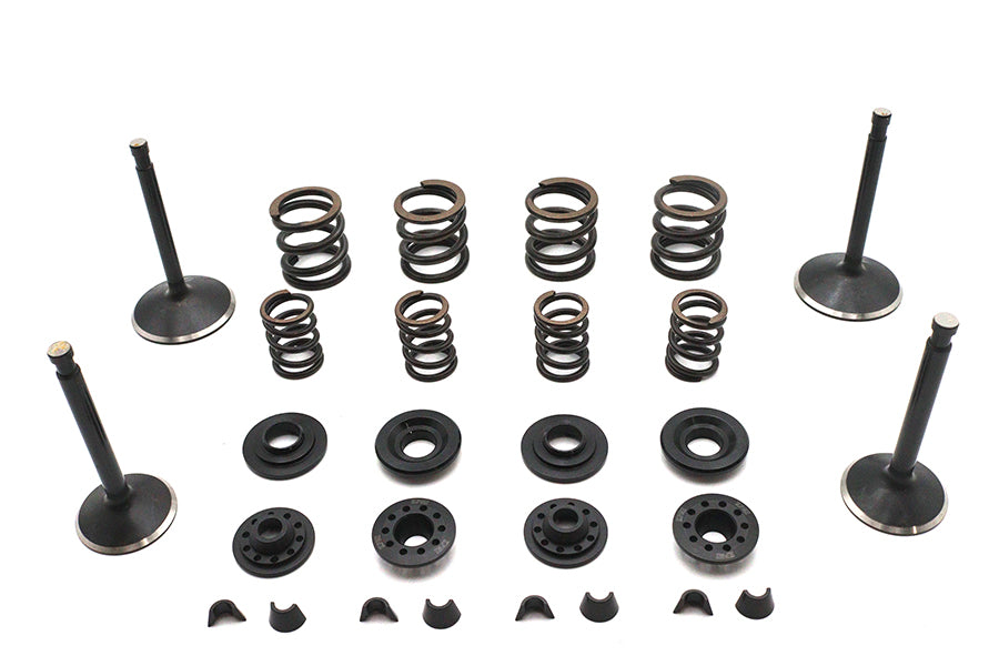11-2031 - Kibblewhite Valve and Spring Kit by Kibblewhite