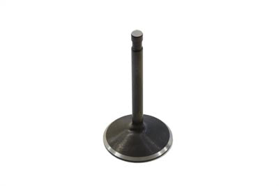 11-6004   1000cc Stainless Black Diamond Intake Valve by Kibblewhite
